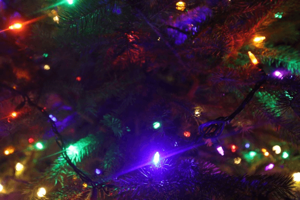 christmas lights