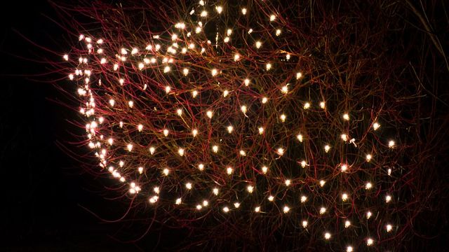 christmas lights