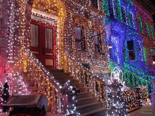 holiday lights