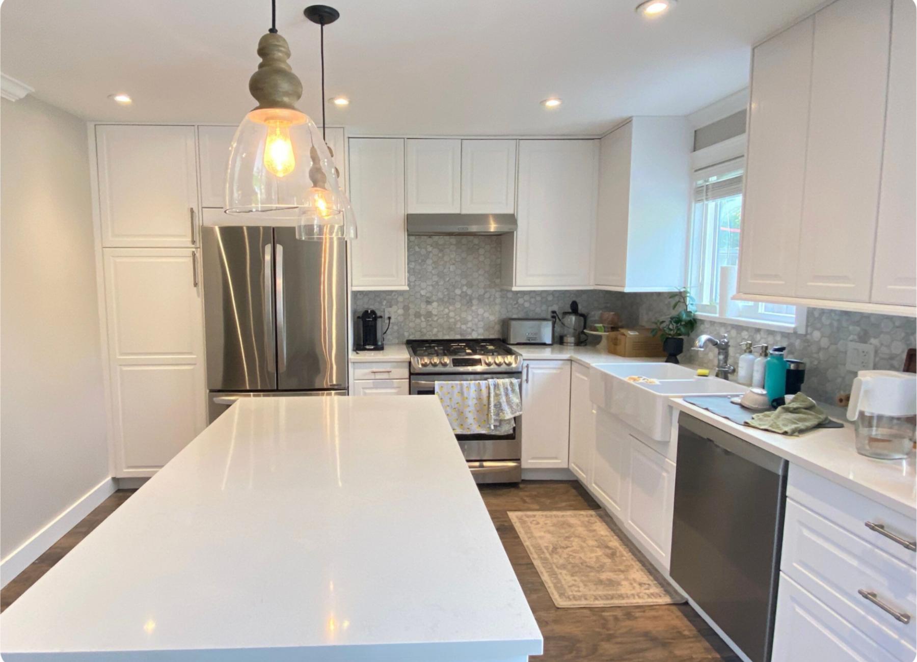 cabinets re-imagined project Vancouver (3) cabinets re imagined project Vancouver ()